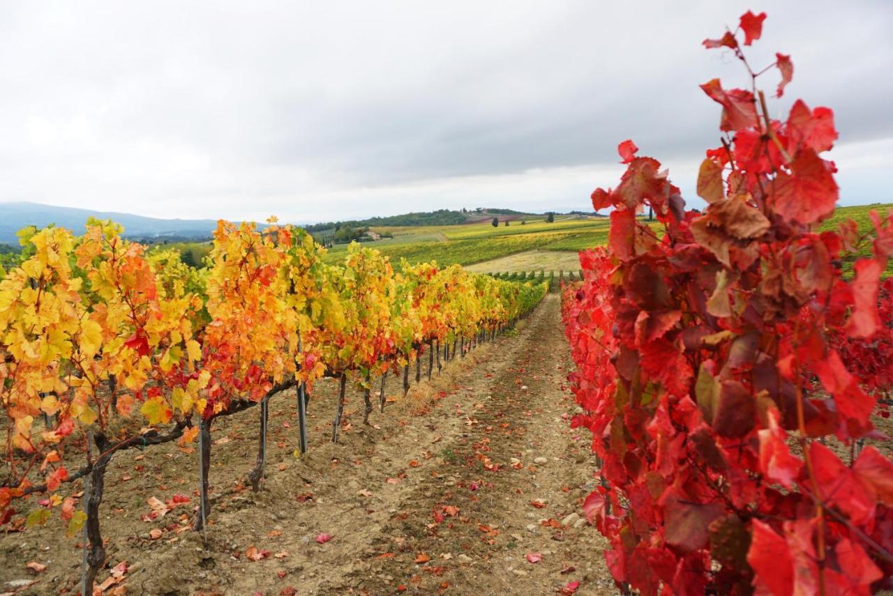 Vila Fattoria Lornano Winery Monteriggioni Exteriér fotografie