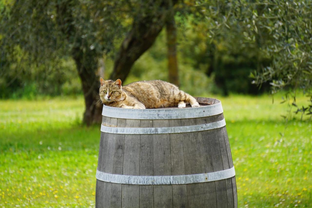 Vila Fattoria Lornano Winery Monteriggioni Exteriér fotografie