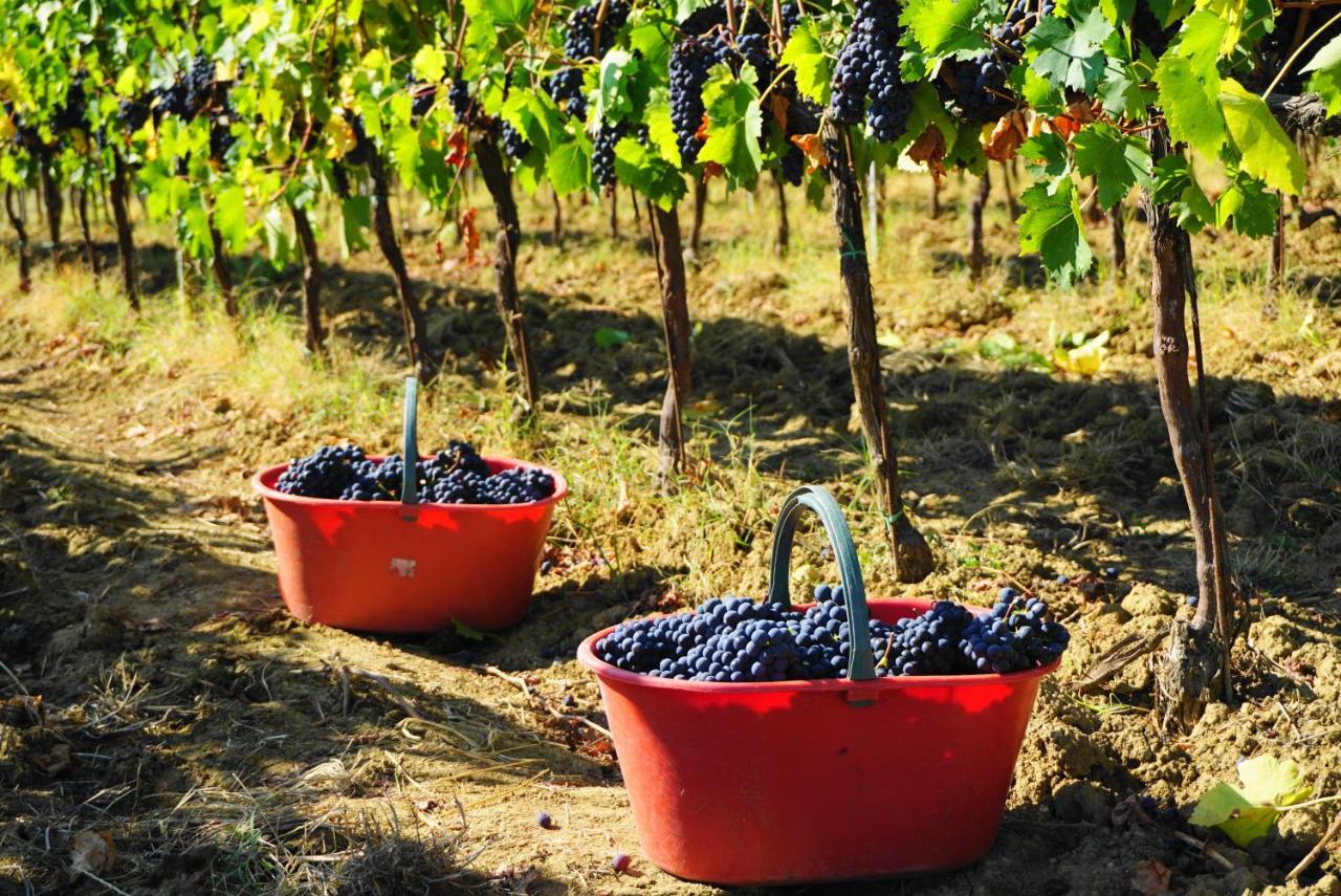 Vila Fattoria Lornano Winery Monteriggioni Exteriér fotografie